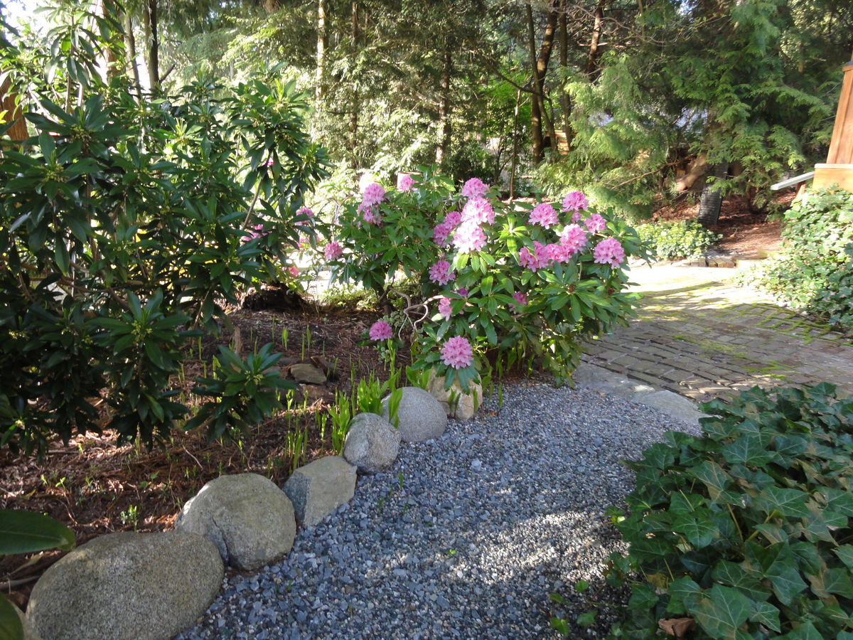 Crescent Drive backyard 3.JPG at 2540 Crescent Drive, Crescent Bch Ocean Pk., South Surrey White Rock
